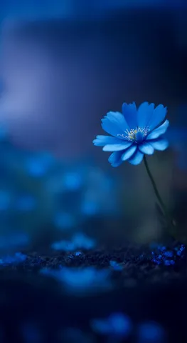 夜空に咲く青い宝石