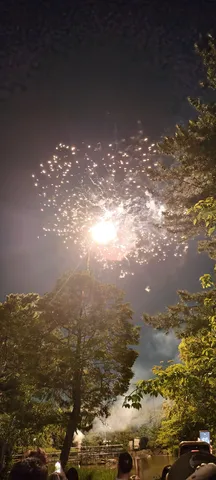 夜空に咲いた、夢のような光の花