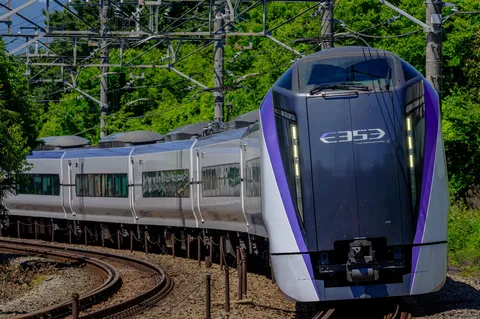 曲線を行く特急列車の躍動