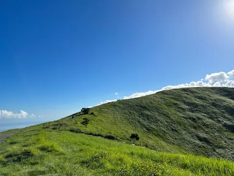 青空と緑の丘、心地よい風を感じる道