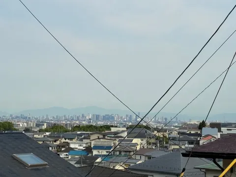 電線が描く、都市の風景