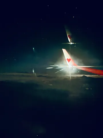 夜の翼に映るハート