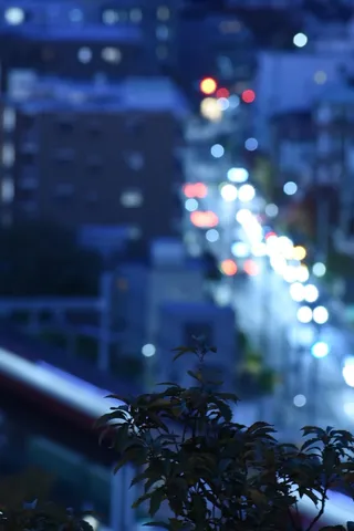 都会の夜景、ボケ味と緑