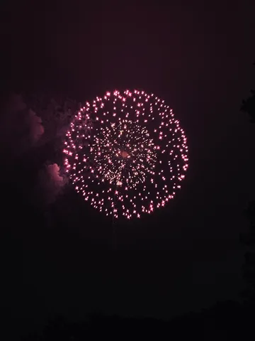 夜空を彩る、華やかな花火の軌跡
