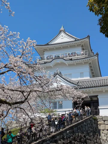 春爛漫、古城への誘い