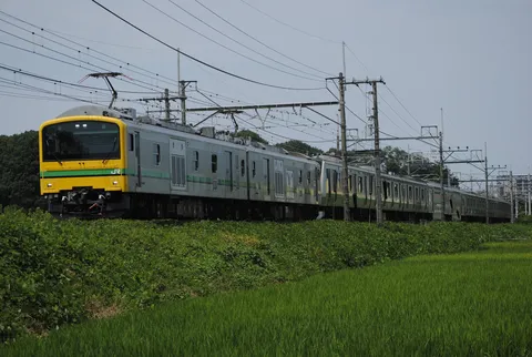 緑を駆け抜ける黄色い電車