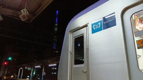 夜景と車内の静寂