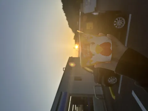 夕陽とチキン、黄金色の時間