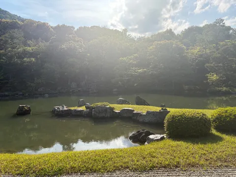 木漏れ日の誘い、静寂の池。