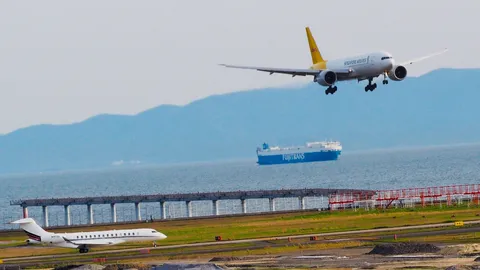 空と海、そして陸の共演