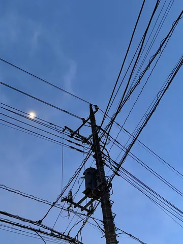 電線の森と月明かり