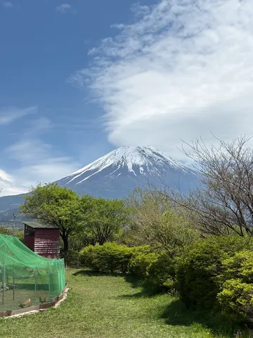 雪化粧の富士山と田舎の鶏小屋