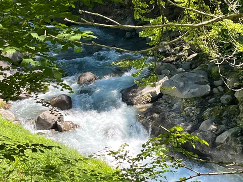 清流と岩のささやき