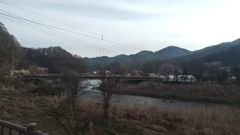 春を告げる川辺の息吹