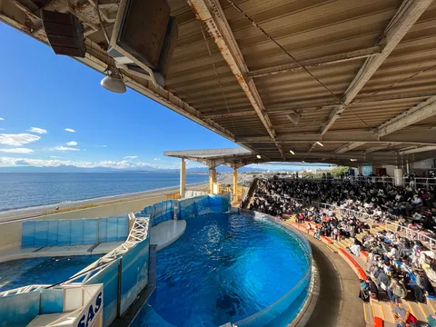 海が望める開放的なショー会場