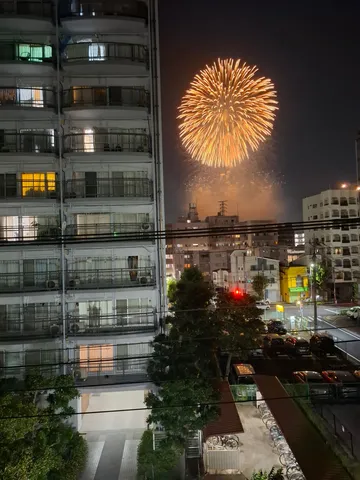 都会に咲いた夜空の花