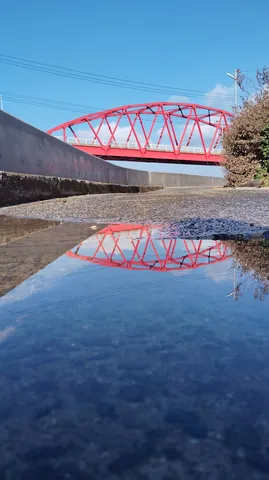 水たまりに映る赤い橋