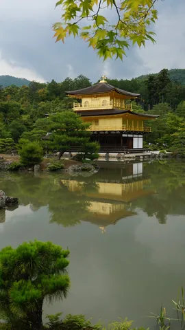 水鏡に佇む黄金の輝き