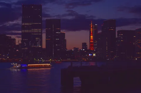 水辺に浮かぶ夜景クルーズ