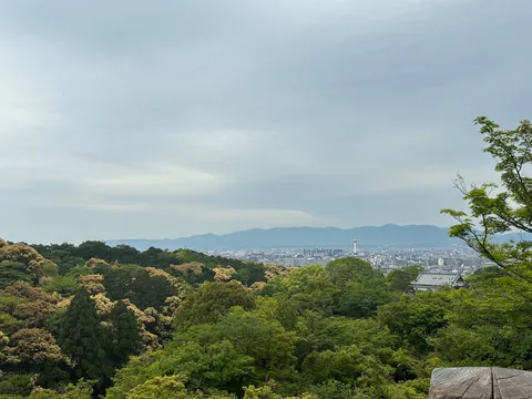 森と街並み、遠くの山並み