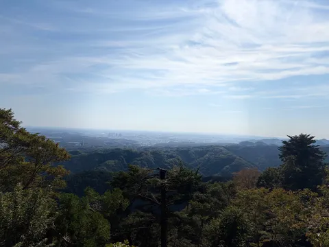 遠望の森と広がる街