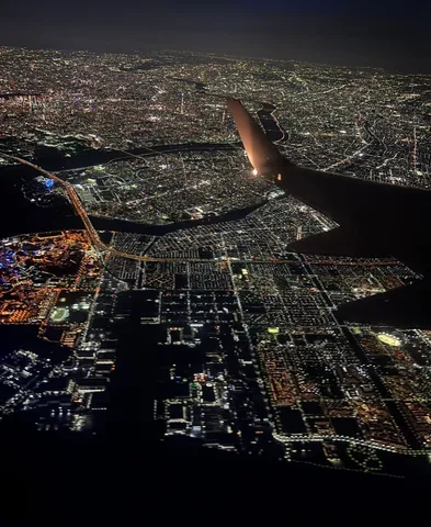 夜空に広がる光の海