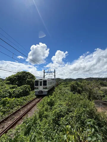 夏草を抜ける、懐かしのローカル線
