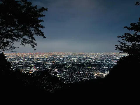 夜景を縫う黒い影