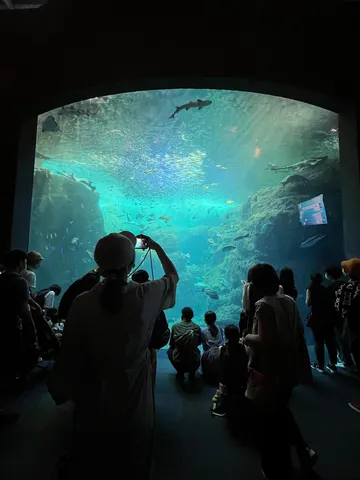 光の海へ吸い込まれる瞬間