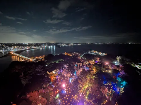 夜景に咲く光の庭