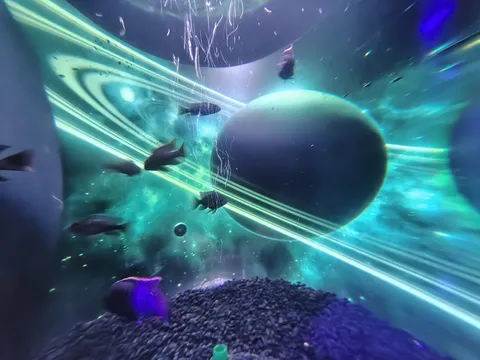 宇宙水槽の魚たち、異世界への旅