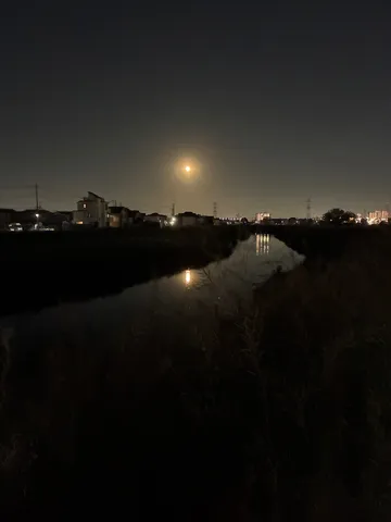 月明かりが導く夜の川辺