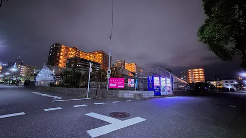 夜の温室と橙の街灯