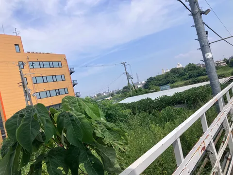 ビルの隙間から覗く空と緑