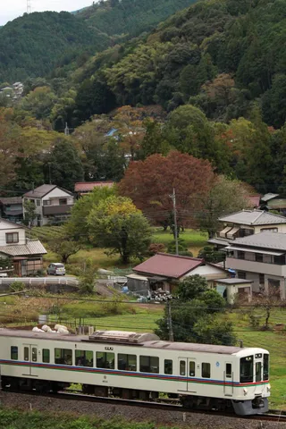 山里を走る秋の列車