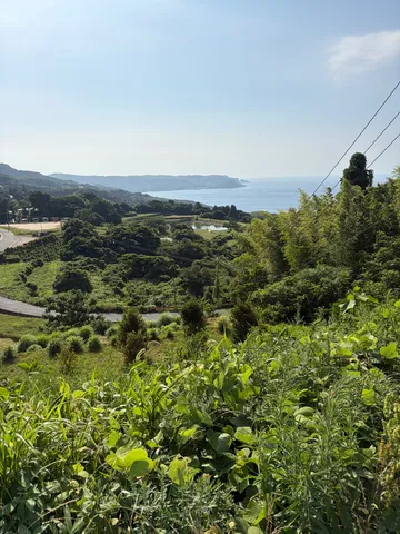 海へと続く緑の道