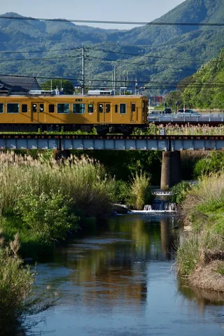 緑と川と黄色の電車