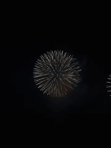 夜空に咲く光の花