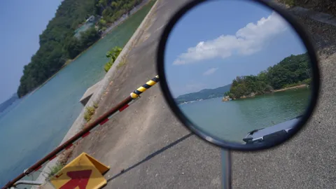 水辺に映る小さな風景