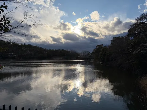 静寂の湖面に映る光のキャンバス