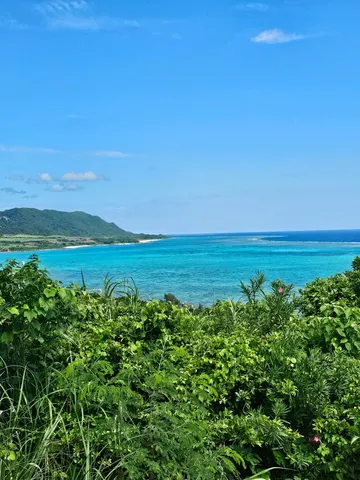 緑の花草と広がる広大な海