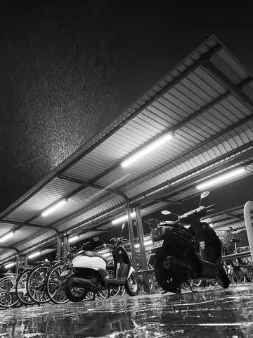 雨夜、バイクと自転車の静かな時間