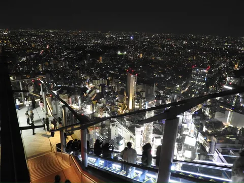 煌めく都会の夜景、展望台からの眺め