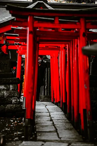 赤い鳥居の迷宮路