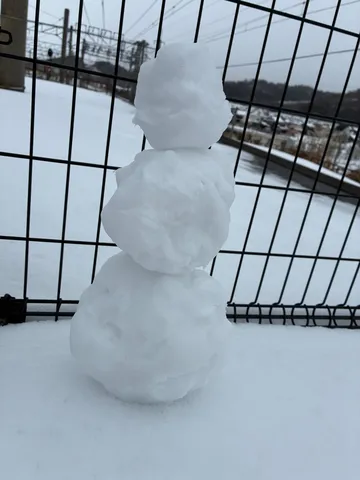 線路を見つめる雪の相棒