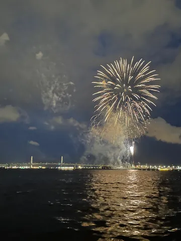 夜の水辺に咲く大輪の花
