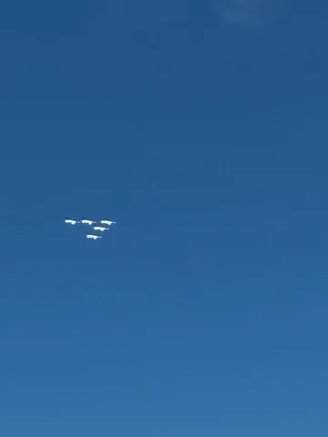青空に描く、翼の軌跡