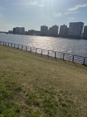 水辺に並ぶ都会のビル群