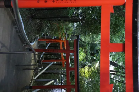 緑深まる参道の鳥居風景