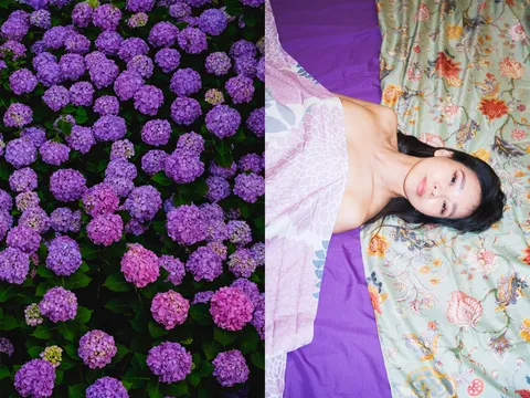 紫陽花とベッドのコントラスト